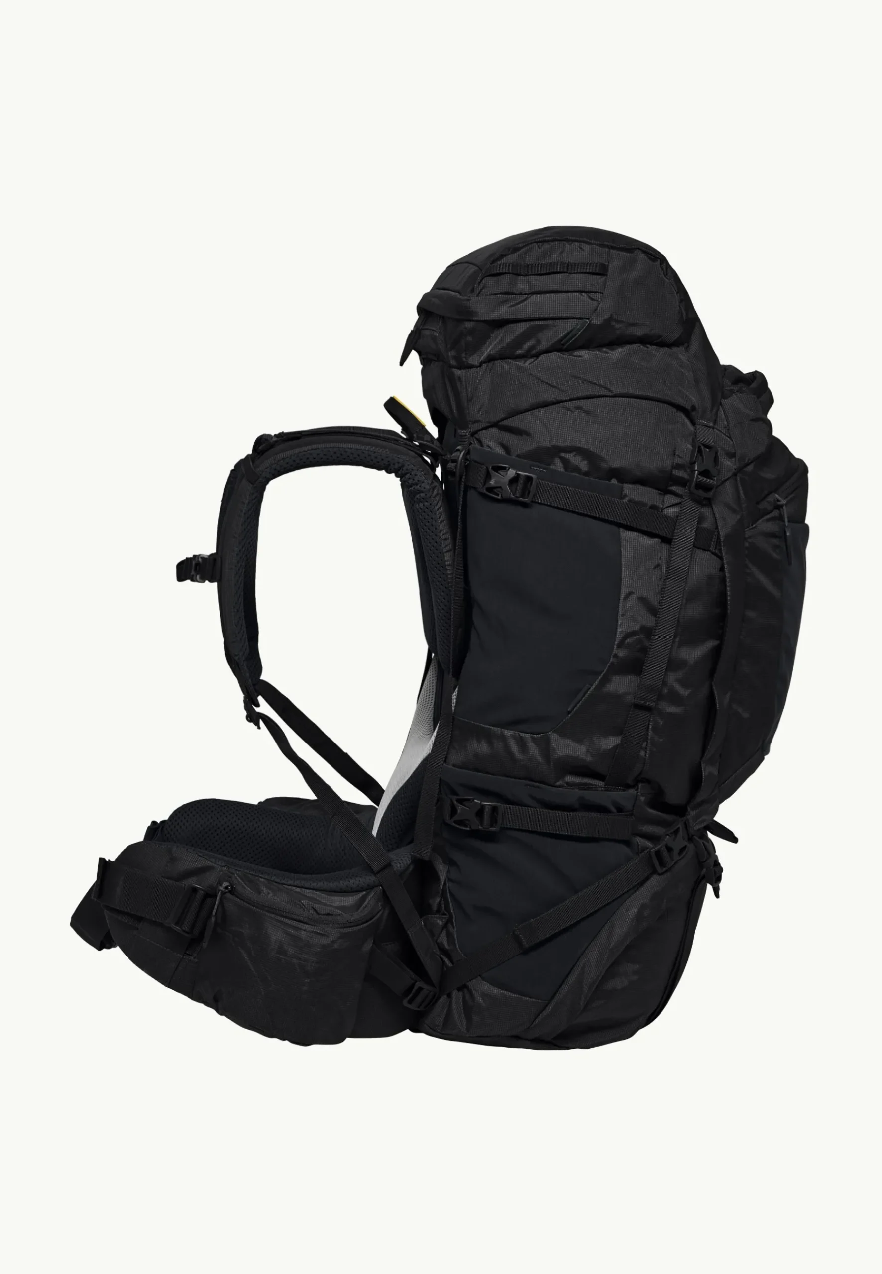 Jack Wolfskin Denali 65|10 Men|DAMES Wandelrugzakken|Trekkingrugzakken