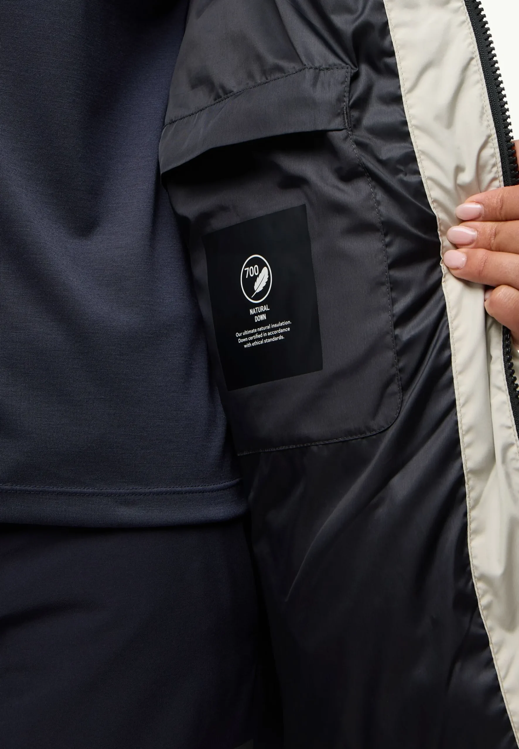 Jack Wolfskin Kirschallee Jkt W Rds|DAMES Voor- En Najaarsjacks/-Jassen|Isolatiejacks