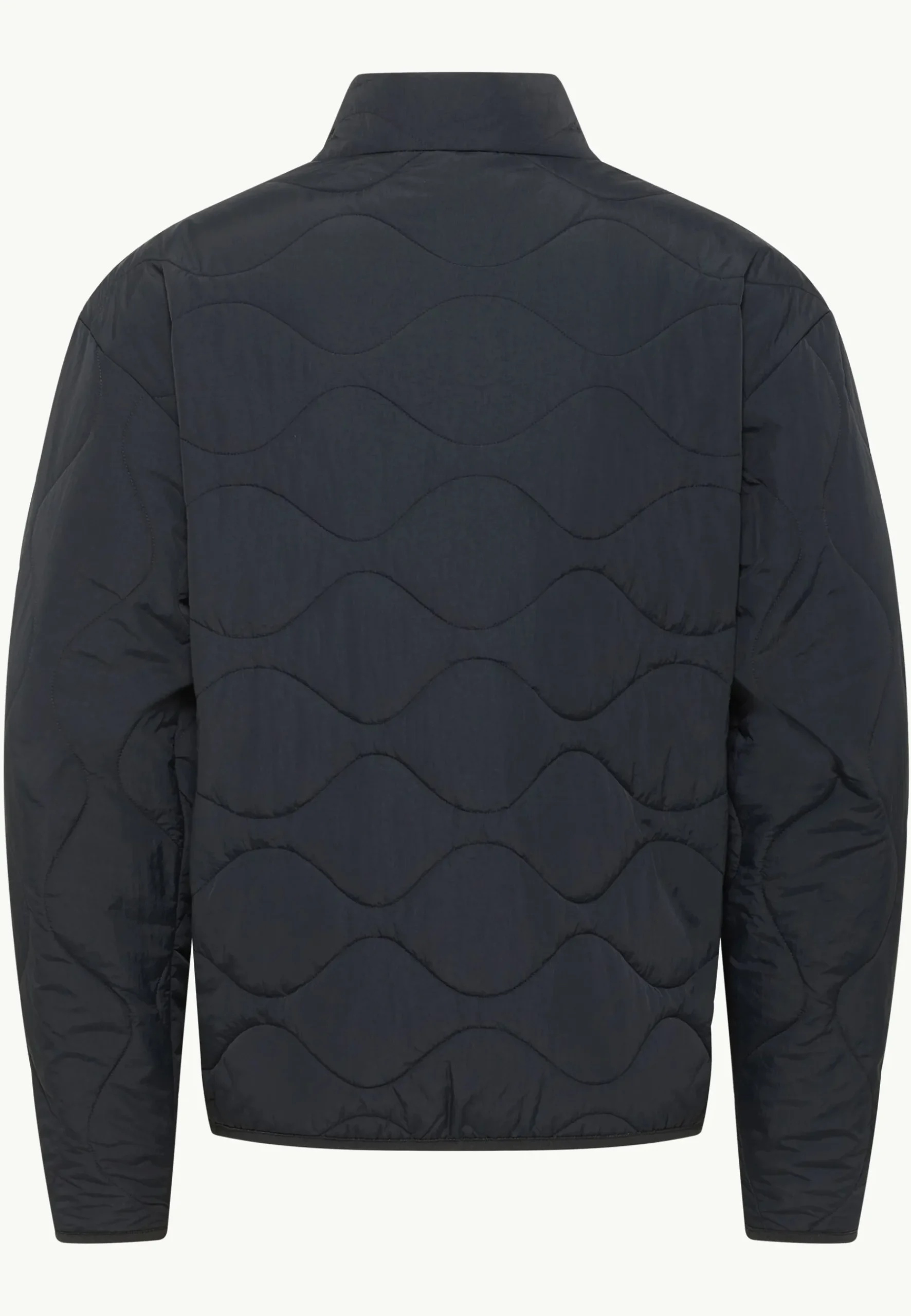 Jack Wolfskin Wandersome Ins Jkt M|Heren Voor- En Najaarsjacks/-Jassen|Winterjacks
