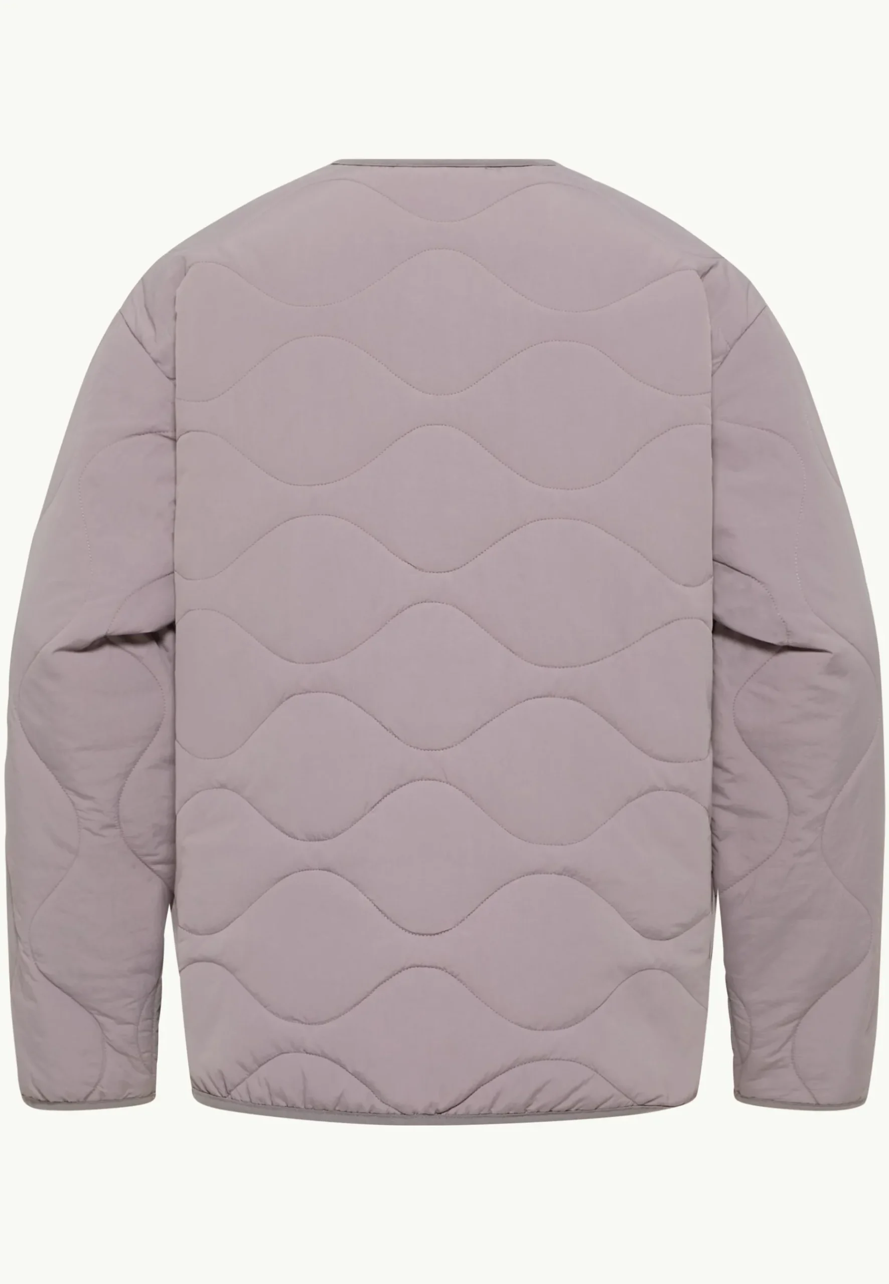 Jack Wolfskin Wandersome Ins Jkt W|DAMES Voor- En Najaarsjacks/-Jassen|Isolatiejacks